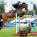 How You Can Take Show Jumping Classes Into Show Business
